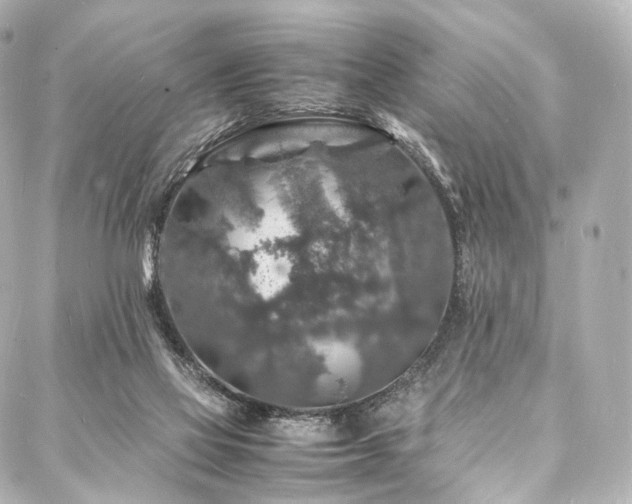 X0000088030069200705111206