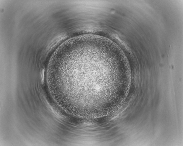 X0000088030070200705111206