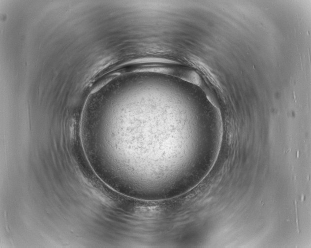 X0000088030071200705111206