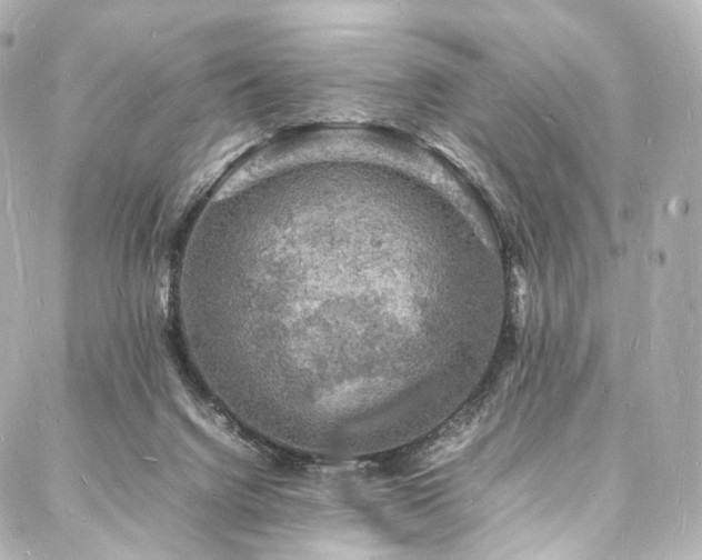 X0000088030072200705111206