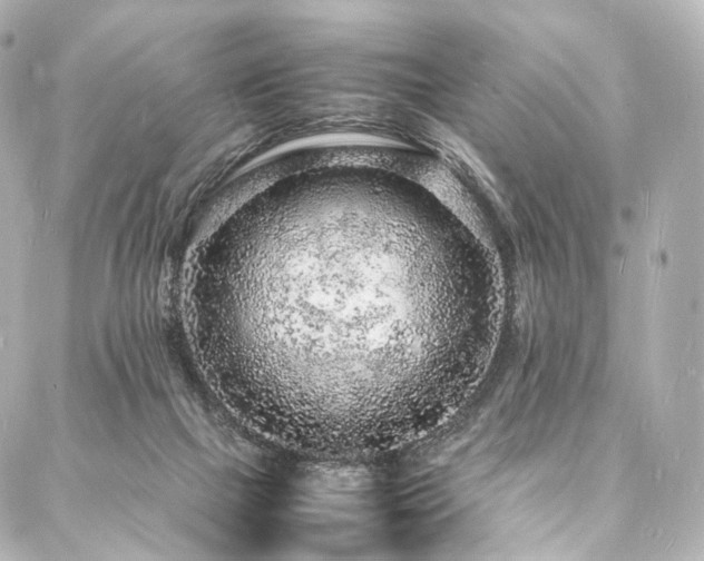 X0000088030073200705111206