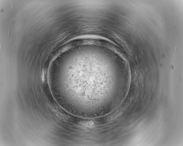 X0000088030075200705111206