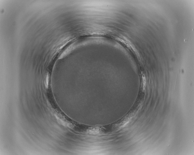 X0000088030076200705111206