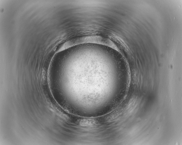 X0000088030077200705111206