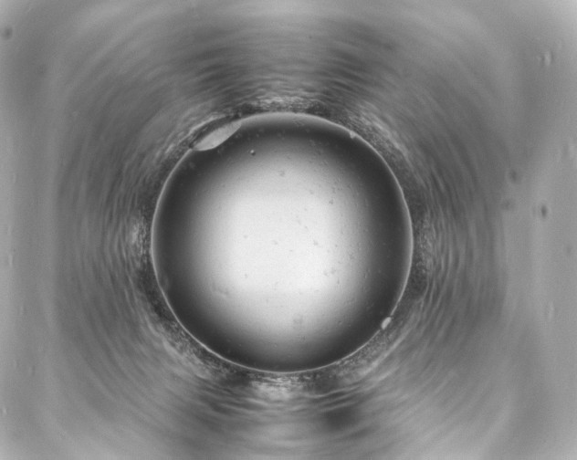 X0000088030079200705111206