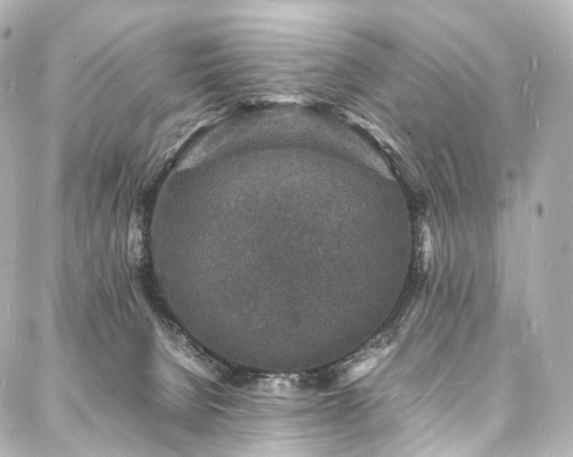 X0000088030080200705111206