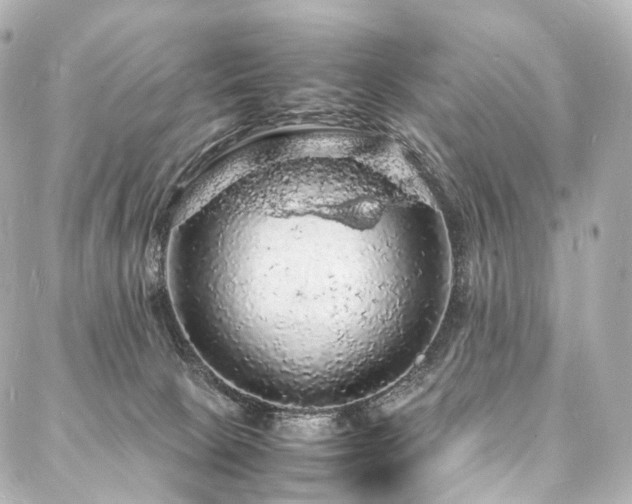 X0000088030081200705111206