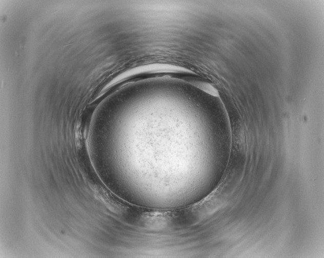 X0000088030082200705111206