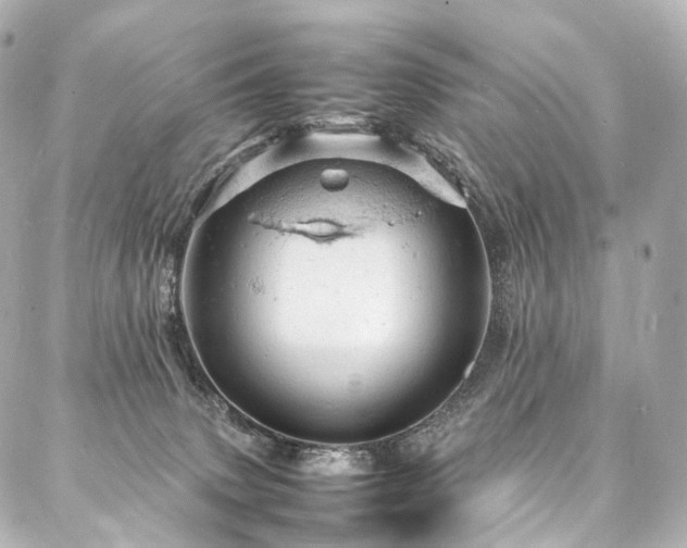 X0000088030083200705111206