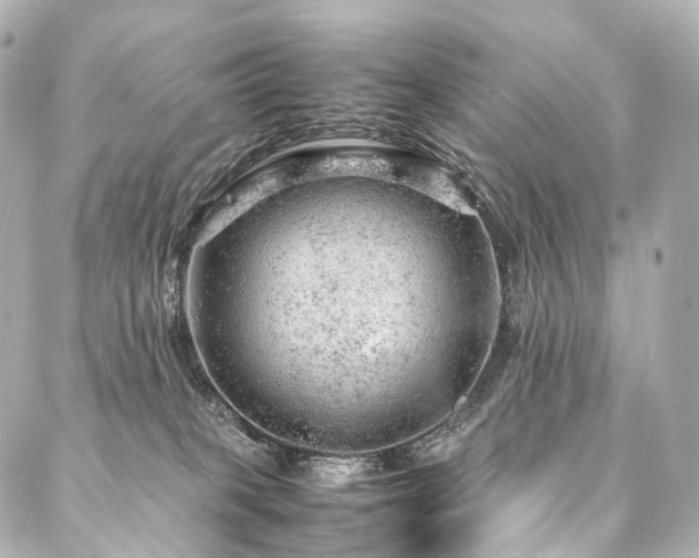 X0000088030085200705111206