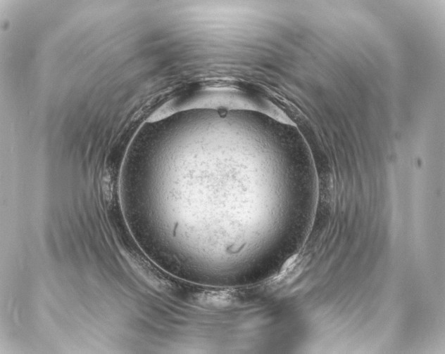 X0000088030086200705111206