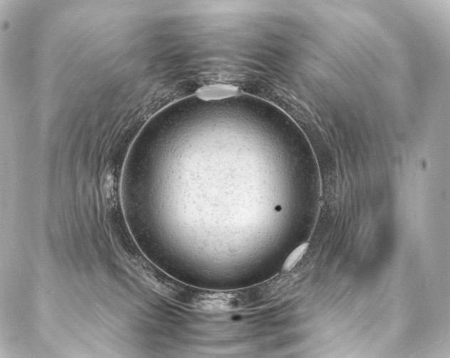 X0000088030087200705111206