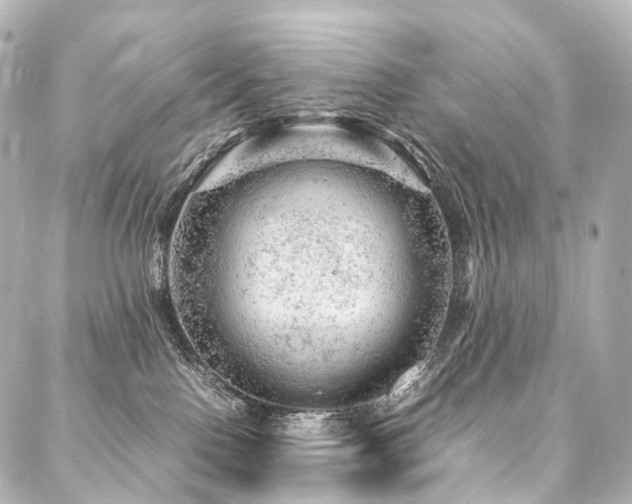 X0000088030090200705111206