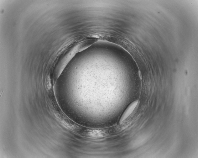 X0000088030091200705111206