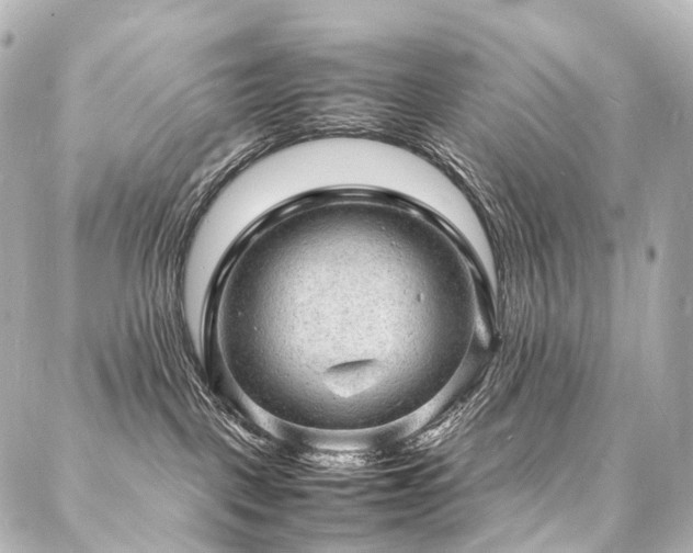 X0000088030093200705111206