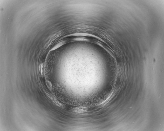 X0000088030094200705111206