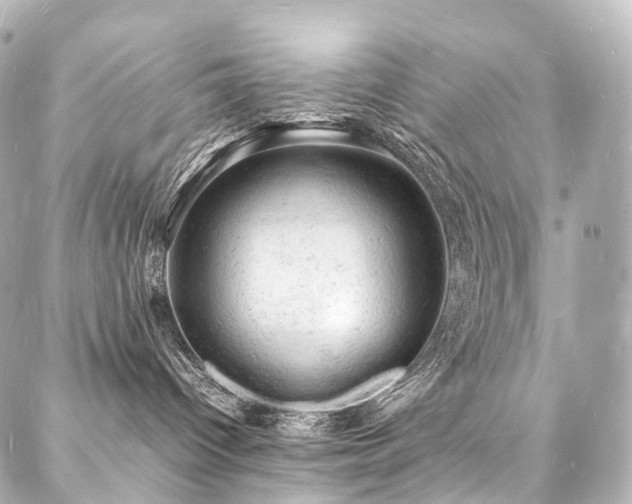 X0000088030096200705111206