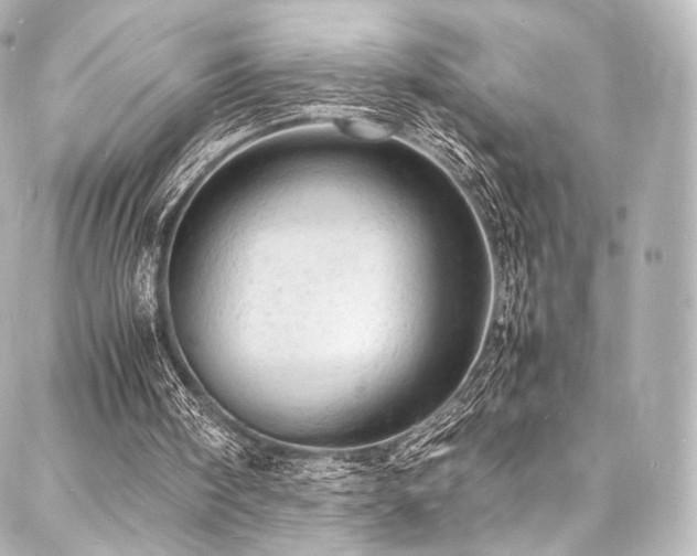 X0000088030098200705111206