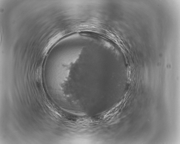 X0000088030099200705111206