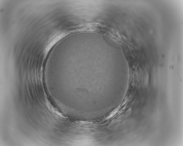 X0000088030100200705111206