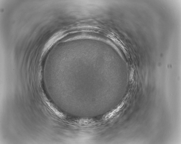 X0000088030101200705111206