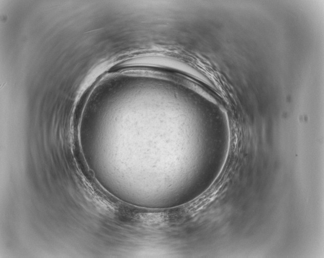 X0000088030102200705111205