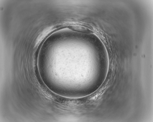 X0000088030103200705111205