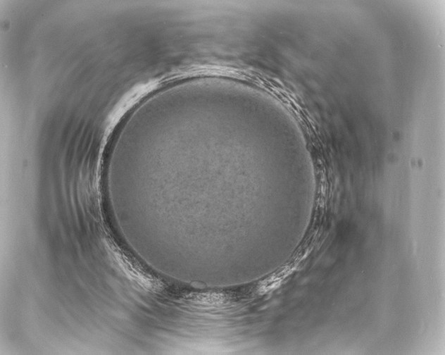 X0000088030104200705111205