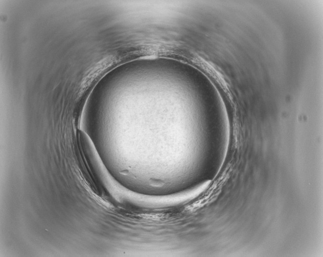 X0000088030105200705111205