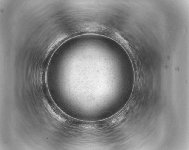 X0000088030106200705111205