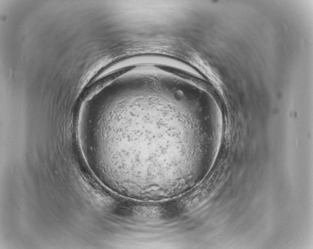 X0000088030107200705111205