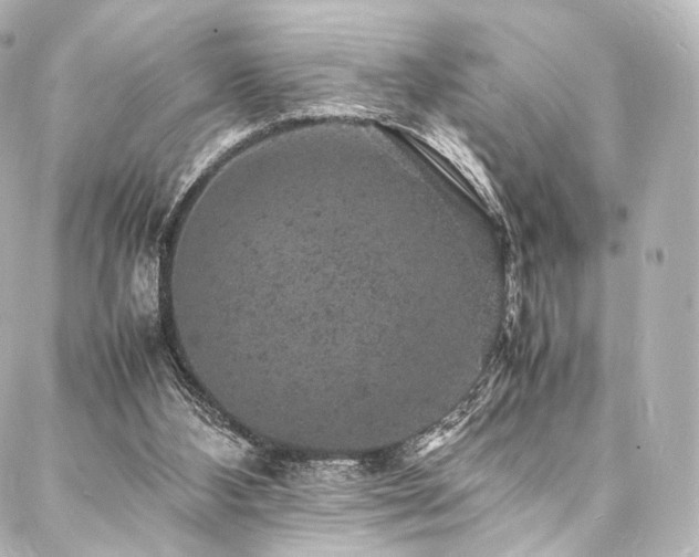 X0000088030108200705111205