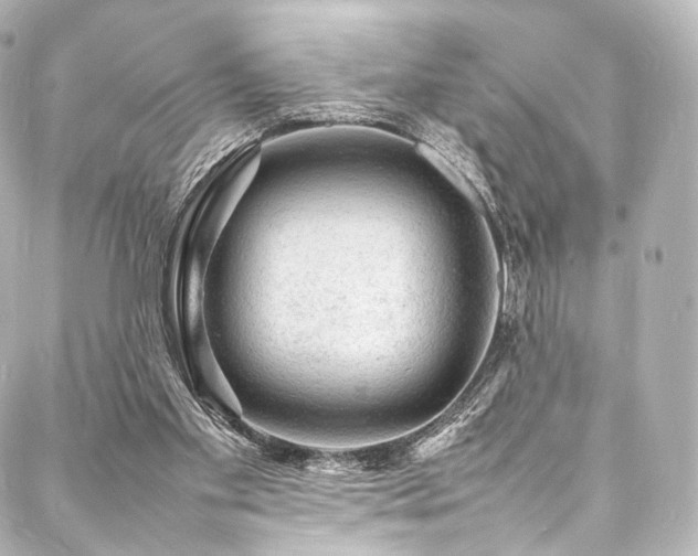 X0000088030109200705111205