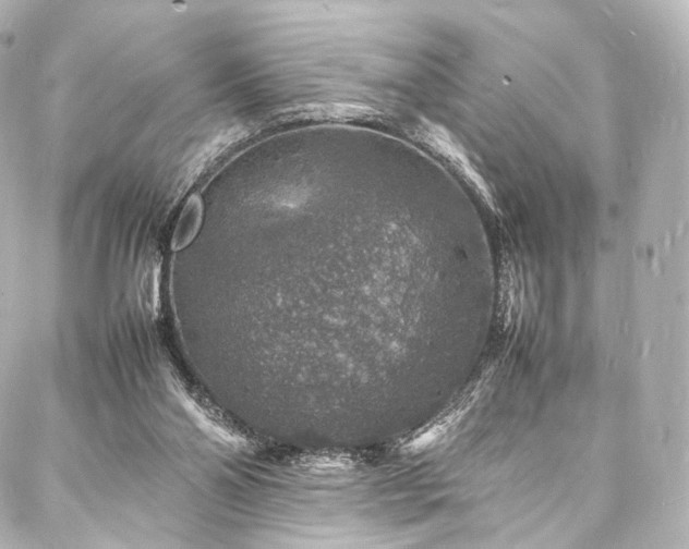 X0000088030110200705111205