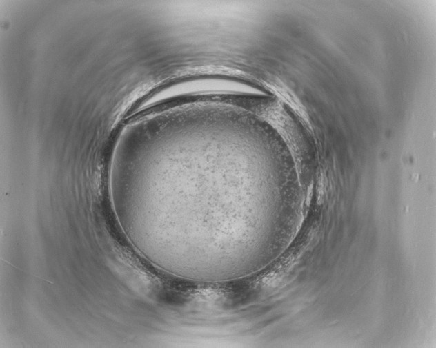 X0000088030111200705111205