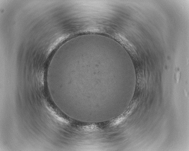 X0000088030112200705111205