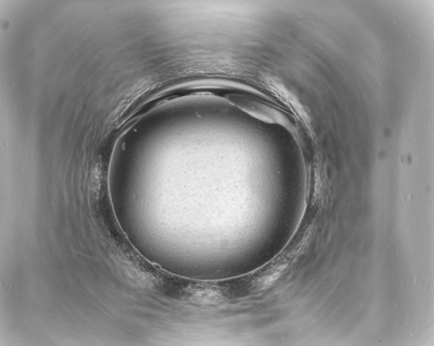 X0000088030113200705111205