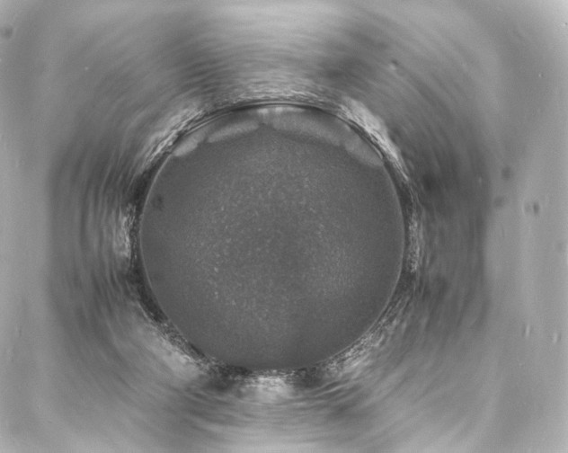 X0000088030114200705111205