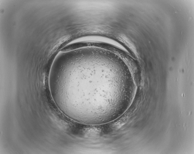 X0000088030115200705111205