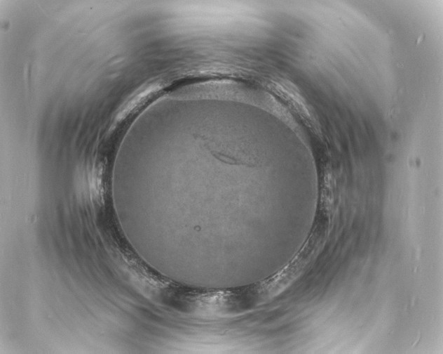 X0000088030116200705111205