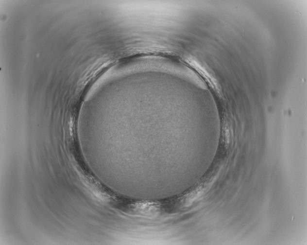 X0000088030117200705111205