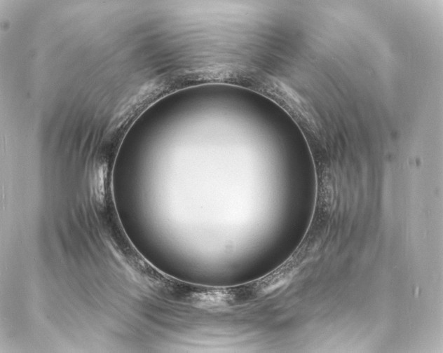 X0000088030118200705111205