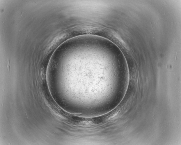 X0000088030119200705111205