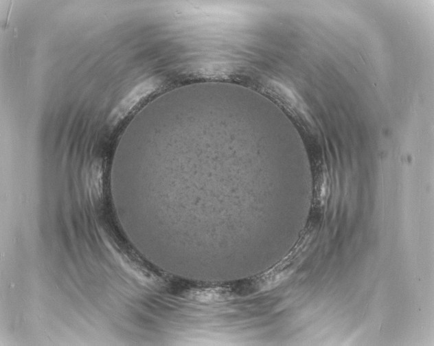 X0000088030120200705111205