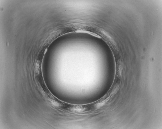 X0000088030121200705111205