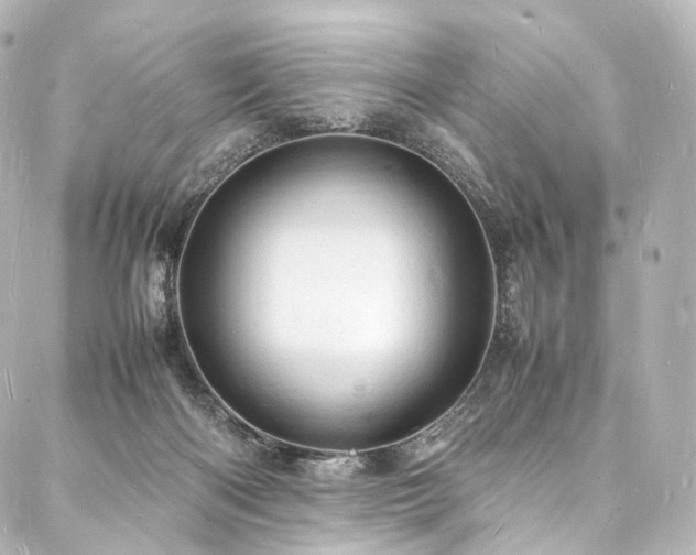 X0000088030122200705111205