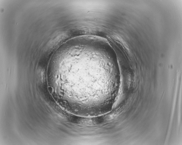 X0000088030123200705111205