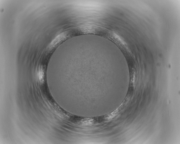 X0000088030124200705111205