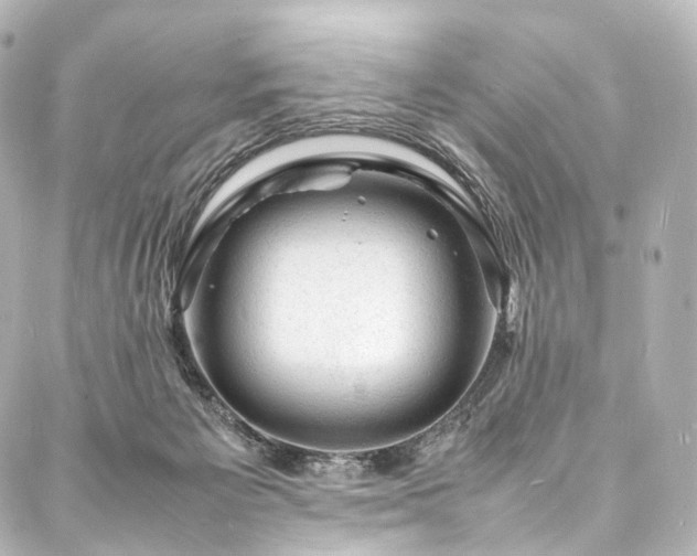 X0000088030125200705111205