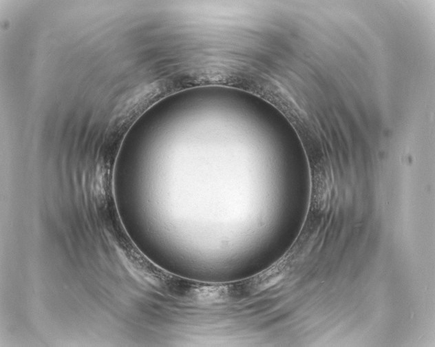 X0000088030126200705111205